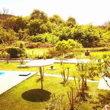 The Seahorse 公寓式酒店