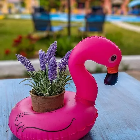 公寓式酒店 The Seahorse 3*